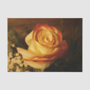 Cream Rose Tissue Paper