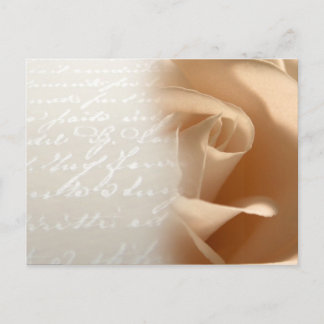 Cream Rose Wedding Customise Postcard