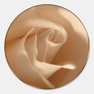 Cream Rose Wedding Envelope Seal