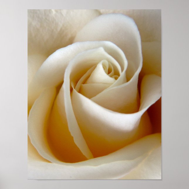 Cream Rose Wedding Photo Poster (Front)