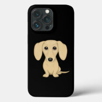 Cream Short Haired Dachshund