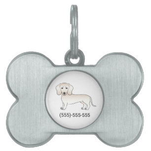 Cream Smooth Coat Dachshund Dog With Phone Number Pet ID Tag