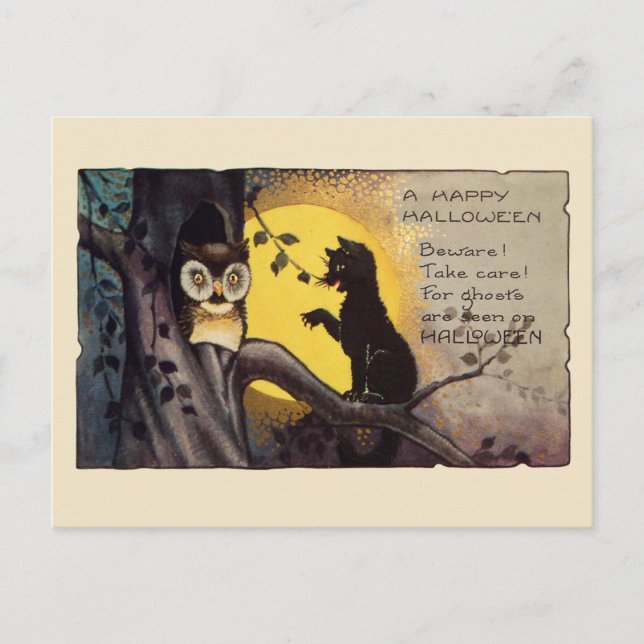 Cream Vintage Cat Warning Owl Spooky Halloween Postcard (Front)
