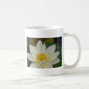 Cream Water Lily02.JPG Coffee Mug