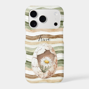 Cream White Daisy Flowers