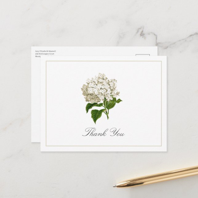 Cream White Hydrangea Bloom Traditional Thank You Postcard (Front/Back In Situ)