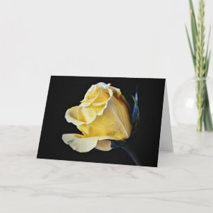 Cream Yellow Rose Flower Art Note Card