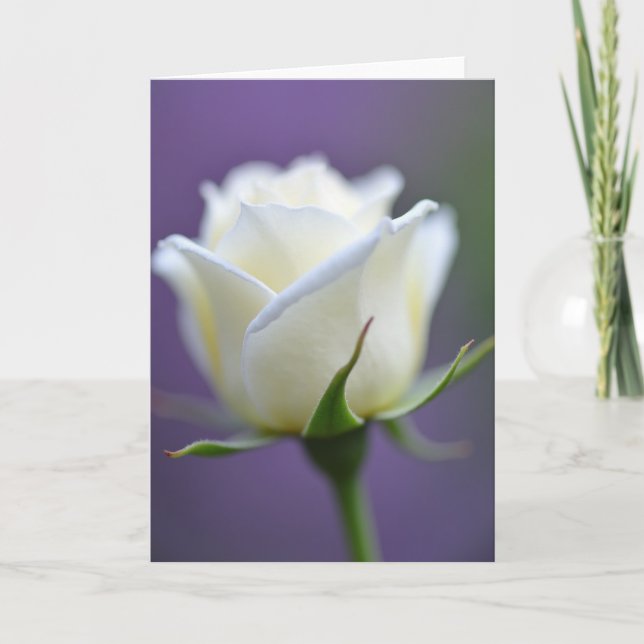 Creamy Mothers Day Blossom Card (Front)