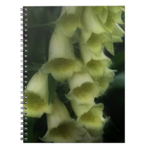 Creamy White Foxglove Flowers Spiral Notebook
