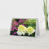 Creamy White Hydrangea and Pink Cone Flowers