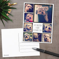 Create a Custom Photo Collage with 8 Photos