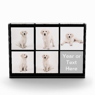 Create Instagram Photo Family Dog Cat Photos