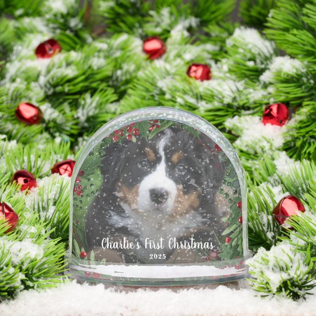 Create your Dog's First Christmas photo  Snowglobe (Christmas)