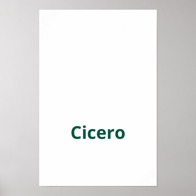 Create Your Own 12"x18" Matte Poster (Front)