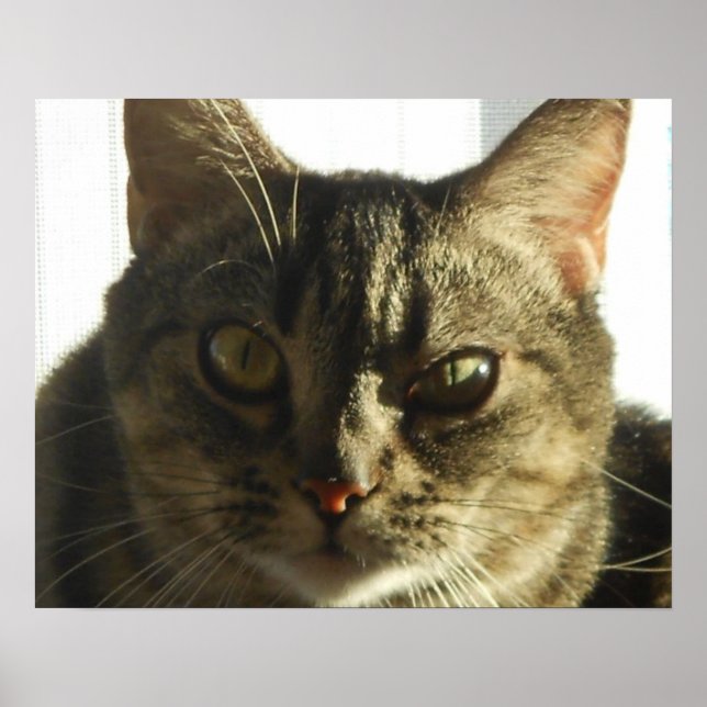 Create Your Own 20" x 16" Poster (Front)