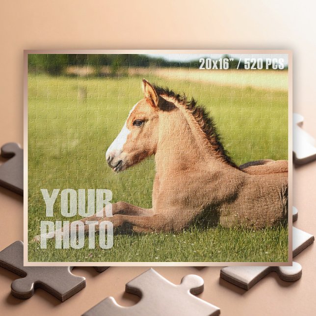 Create Your Own 20x16”/520 Pieces Custom Pet Photo Jigsaw Puzzle (Custom Photo Puzzle - 20x16" / 520 Pieces)
