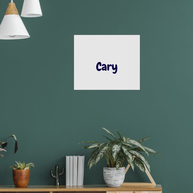 Create Your Own 24"x20" Matte Poster (Living Room 1)