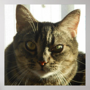 Create Your Own 24" x 24" Poster