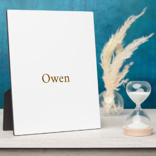 Create Your Own 8''x10'' UV Resistant Easel Plaque