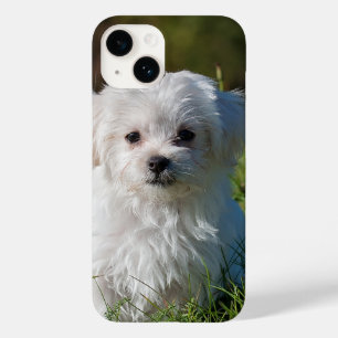 Create Your Own Add Photo Custom Case-Mate iPhone 14 Case