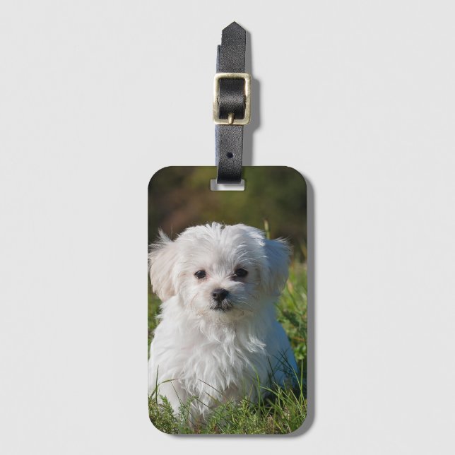 Create Your Own Add Photo Custom Luggage Tag (Front Vertical)