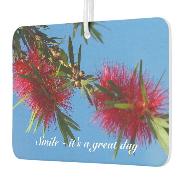 Create your own air freshener (Left)