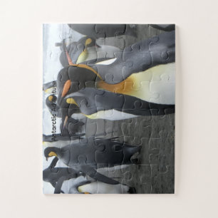 Create Your Own Antarctic Landscape Kids Puzzle 11
