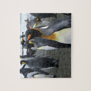 Create Your Own Antarctic Landscape Puzzle 8x10 11