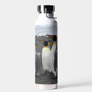 Create Your Own Antarctic Wildlife Insulated Bottl Water Bottle