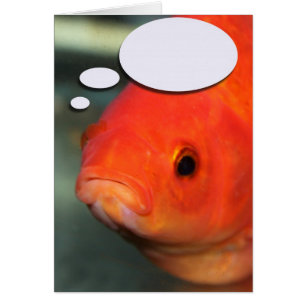 Create Your Own Caption, Goldfish