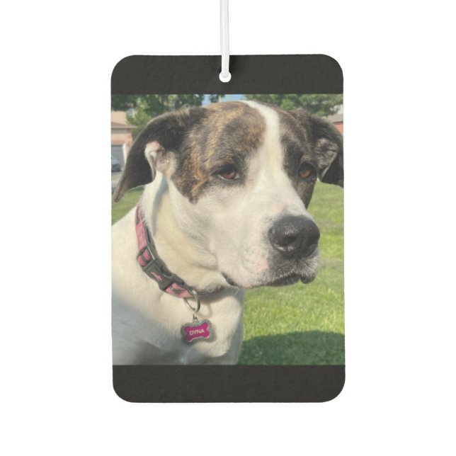 Create Your Own Car Air Freshener (Front)