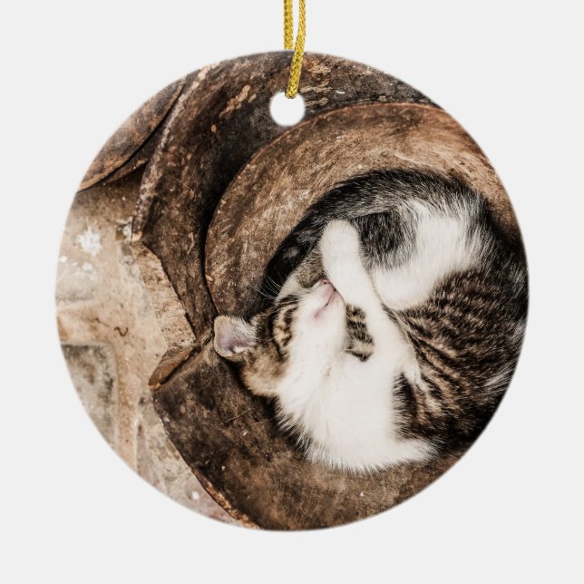 Create Your Own - Cat Nap Ceramic Tree Decoration (Front)