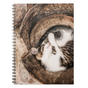Create Your Own - Cat Nap Notebook
