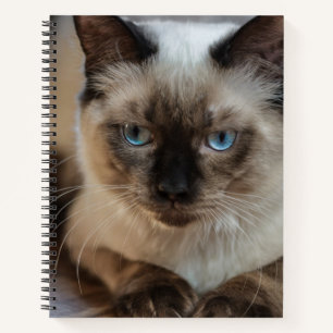 Create Your Own Cat Pet Personalised Photo Notebook