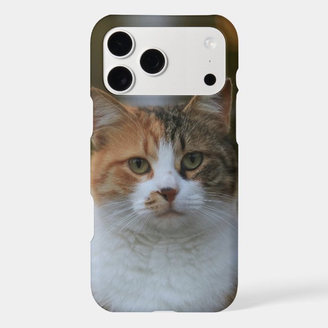 Create Your Own Cat Pet Photo Custom Picture (Back)