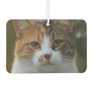 Create Your Own Cat Pet Photo Custom Picture Car Air Freshener