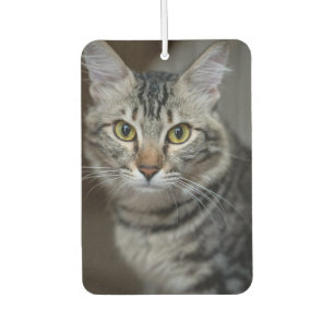 Create Your Own Cat Pet Photo Custom Picture Car Air Freshener