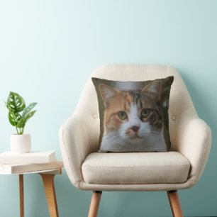 Create Your Own Cat Pet Photo Custom Picture Cushion