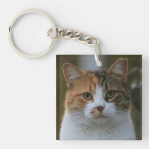 Create Your Own Cat Pet Photo Custom Picture Key Ring