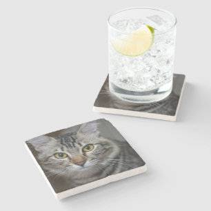 Create Your Own Cat Pet Photo Custom Picture Stone Coaster