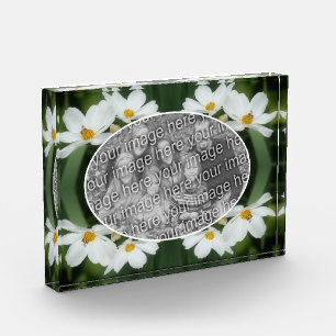 Create Your Own Cosmos Flowers And Bee Photo Block