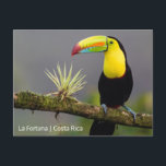 Create Your Own Costa Rica Photo Postcard<br><div class="desc">Create your own postcard with your vacation photos from Costa Rica. Upload your favourite places and customise with the name where the photo was taken.</div>