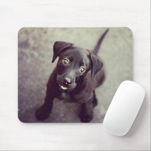 Create Your Own Custom Instagram Photo Mousepad