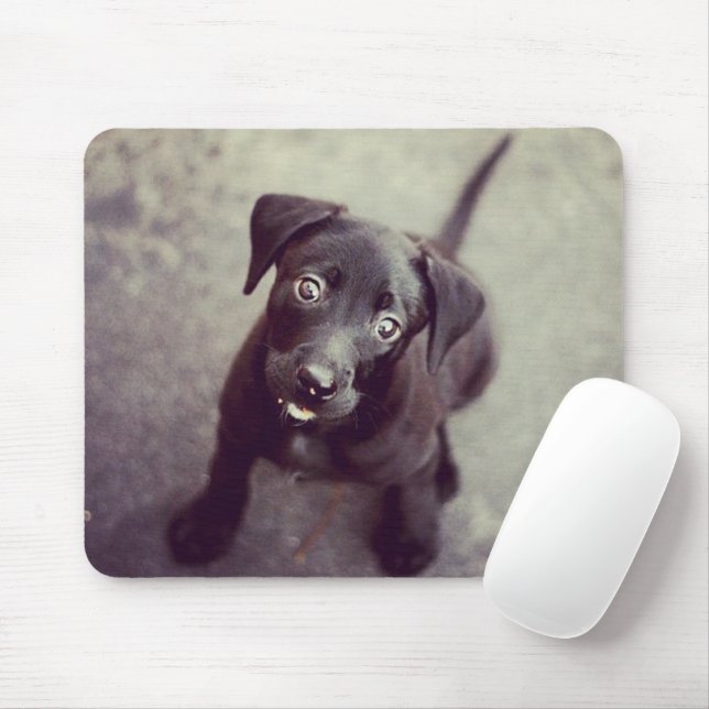 Create Your Own Custom Instagram Photo Mousepad (With Mouse)