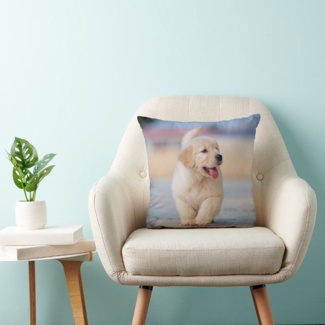 Create your own custom pet cushion (Chair)