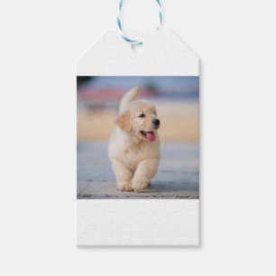 Create your own custom pet gift tags