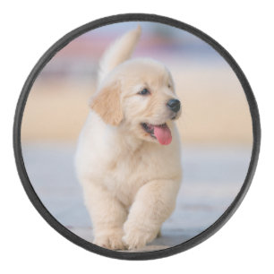Create your own custom pet hockey puck