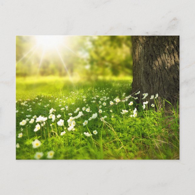 Create Your Own Custom Photo Personalised Postcard (Front)