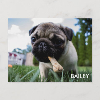 Create Your Own Custom Photo Postcard
