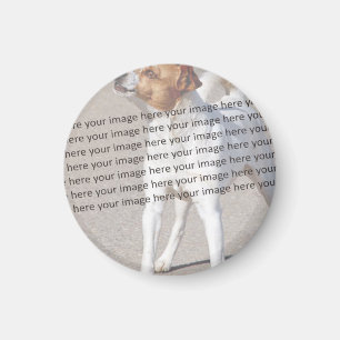 🤍 Create Your Own Custom Template Magnet